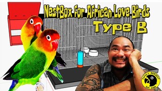 Nest Box for African Love Birds || Type 2