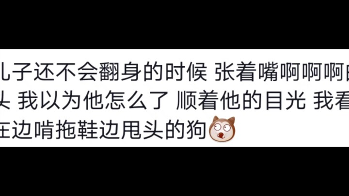 Funny Learning Experiences of a Little Baby