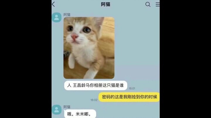 يا رجل، من هذا القط في ألبوم صور وانغ تشانغلينغ على الحصان؟