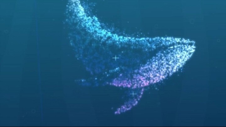 Whale Fall