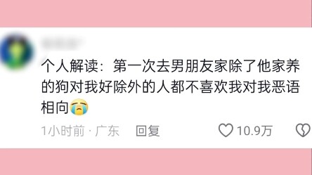 Mới đầu: Con chó này sao mà dễ thương quá! Mở phần bình luận ra xem: Hóa ra toàn chửi nhau!