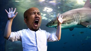 PASCOL TAKUT KETEMU HIU !!! PAS LAGI MAIN KE AQUARIUM SINGAPURA !!!