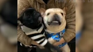 Đỡ không nổi những tình huống khó đỡ #66