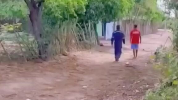 HAHAH lion prank😂