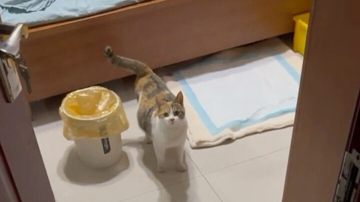 All set, waiting for Xiao Mi to arrive!