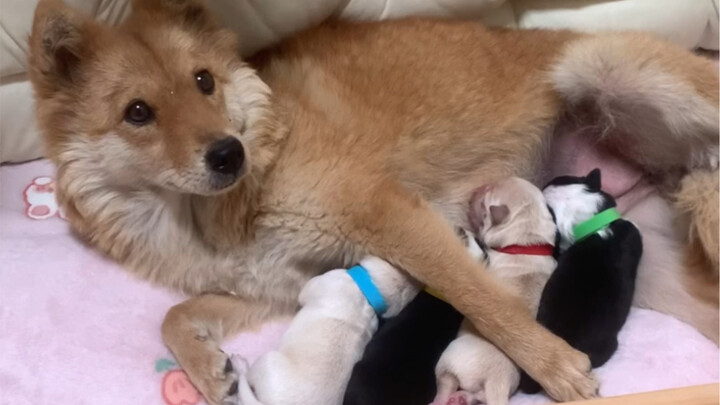 Did I, who took one last gamble on human kindness, win?