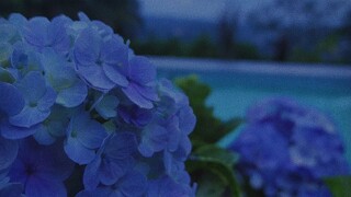 jangan pernah putus asa