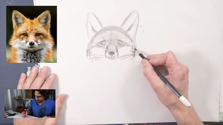 11_Fox_Studies_Shape_Exploration - Animal Character Design with David Colman