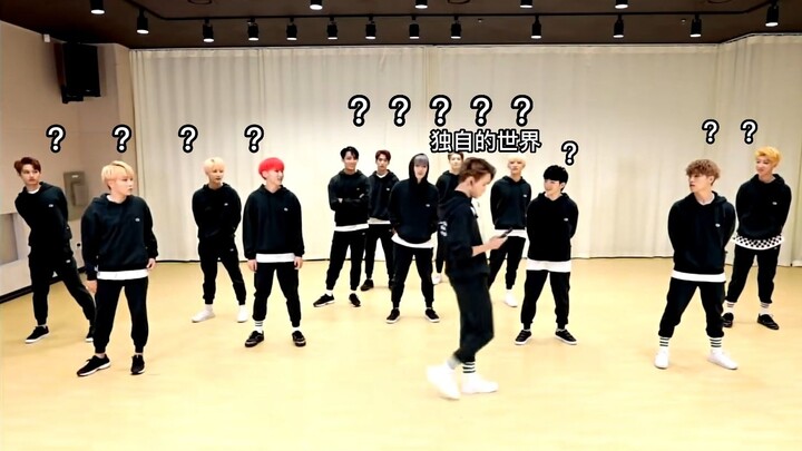 【SEVENTEEN】啵农：独自美丽的世界