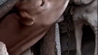 It's completely out of context now.