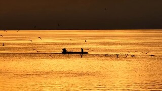 Khoảnh khắc thoáng qua: 24 nhiếp ảnh gia ghi lại những khoảnh khắc đặc biệt vào những thời điểm khác