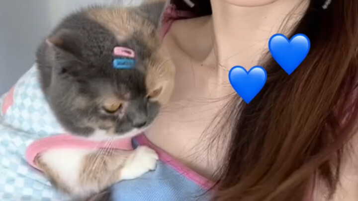 Kucing Jamur Dopamin