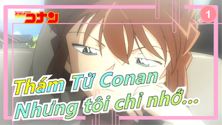 [Thám Tử Conan AMV] Cậu có rất nhiều kỷ niệm, nhưng tôi chỉ nhớ đó là những điều đẹp đẽ_1