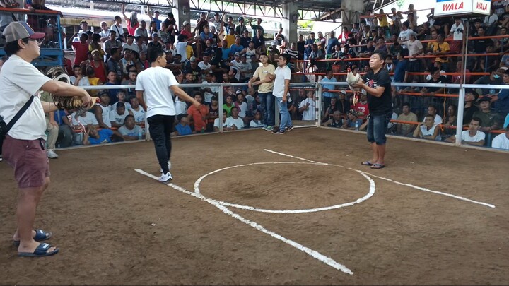 RENA 3COCKS DERBY FEB.7 2026 2nd Fight LOSE to better opponent ..🤞 Patay din kalaban sayang.