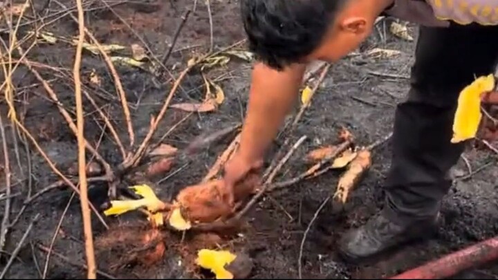 Temuan Unik Petugas Saat Pemadaman Karhutla di Kalimantan