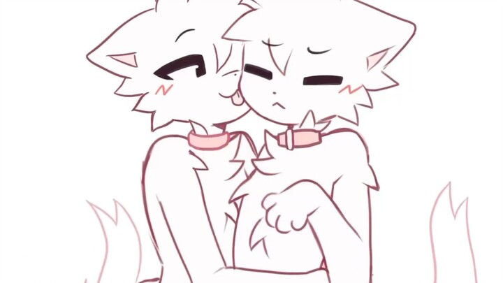 Silly little cat licks face for one minute😝
