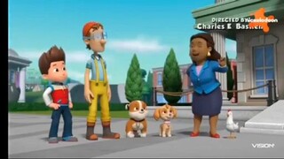 Paw patrol musim 9 Episode 19 dan 20 Bahasa indonesia
