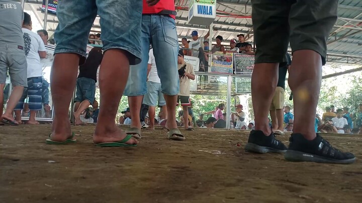 win black hennie straight comb sa bungoy tiaong quezon 100k pusta ng kalaban 11k lang amin ..