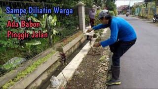 MANTAPP!! ADA BABON PINGGIR JALAN || Mancing Di Selokan Depan Rumah