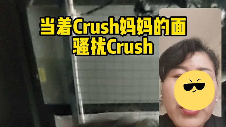阿姨好像嗑起来了