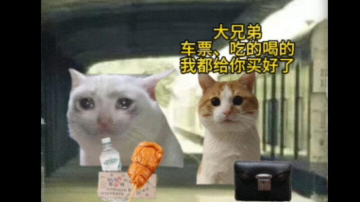 但行好事 莫问前程