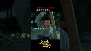 #大理寺少卿游 路上捡到猫是一种什么体验？ #丁禹兮 #周奇 #魏哲鸣 | White Cat Legend | 大理寺少卿游 | iQIYI