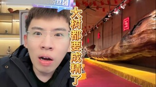 Pohon tua berusia puluhan ribu tahun? Sudah jadi makhluk hidup yang cerdas kali, ya!