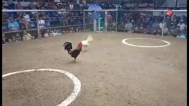 sinagasaan na parang truck
