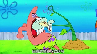 SpongeBob: Đây có phải là hang thỏ không? Lời nhắc ấm áp: Những người mắc chứng sợ trypophobia nên c