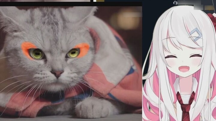 Hot Japanese girl watches cute cat Naruto video
