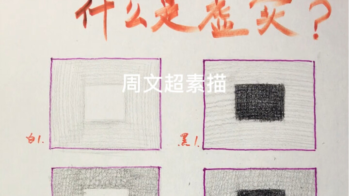 [Still Life Sketch] What Are "Vivid" and "Blurred"?