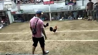 2hits champion 1st fight unscratch