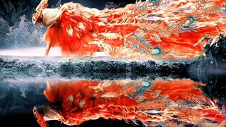 [Yang Liping|Phoenix Cry in Morning] Phượng hoàng đang hót trên ngọn đồi cao đó. Cây phượng đang lớn
