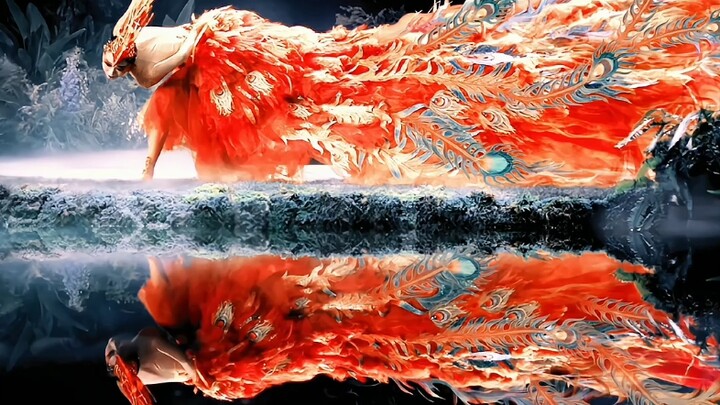 [Yang Liping|Phoenix Singing in the Morning Sun] The phoenix is singing on that high hill. The paras