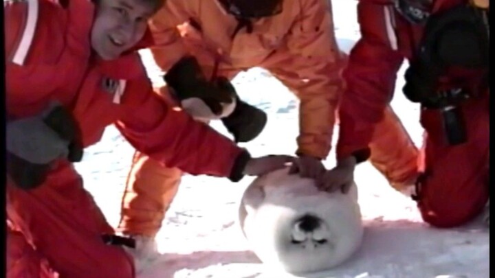 “Bao Bao has already given up on himself.”