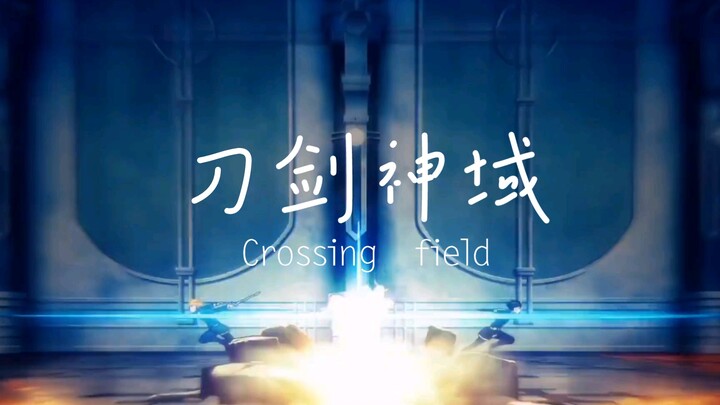 我们的少年时代，刀剑神域，挥剑交出你所有的硬币Crossing  field