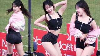 [4K] 대만관중 뒤집어놓은 솔로공연!! 이다혜 치어리더 직캠 Lee DaHye 李多慧 Cheerleader fancam Rakuten Girls 樂天 230415