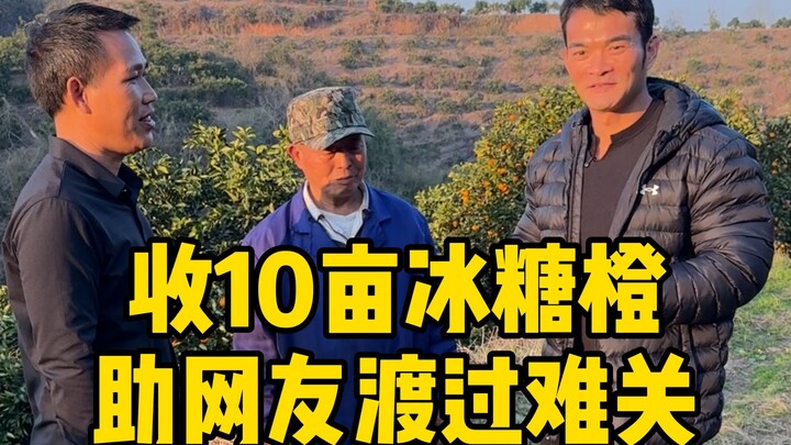 Helping a netizen in Mayang deal with 10 mu of slow-moving sugar oranges—thanks to the warm hospital