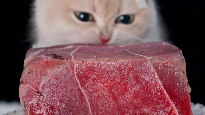 วันนี้นายน่ากั๋วท้าทายเนื้อไฟลุก ทานคำแรกน้ำตาไหลแต่อร่อยสุดๆ!