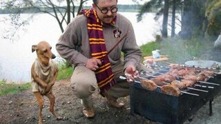 Funny Pets prolong our lives -  Most of Funny Dog and Cat Videos 2023