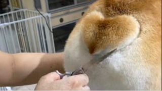 ดูแล้วหายเครียดseries 25