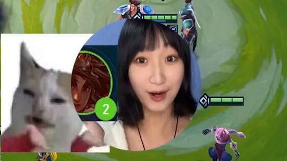 Shovel Iron Turtle: เต่าเหล็กที่ปรากฏตัวทุกฤดูกาล! มาช้าแต่มานะ~