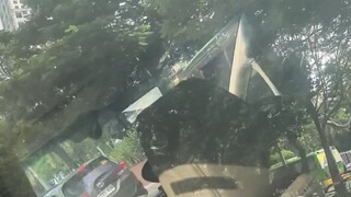 為什麽你最愛的人，往往也是傷你最深的人，這樣揪心般的痛，如何才能治癒？😔