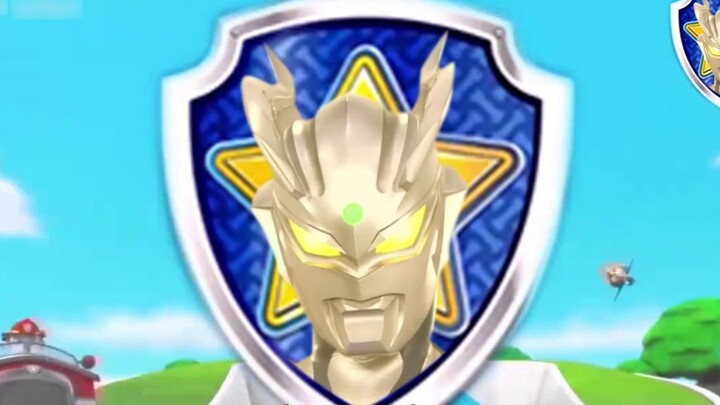 [Paw Patrol Collection] The latest video is here, come and take a look!