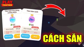 Cách Chọn Địa Điểm + Bóng Mấy? + Thời Gian Săn Tôm Hùm Xanh vs Kẹo Bông Thành Công 100% | Free Fire