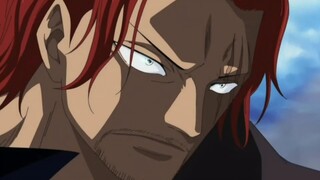 白胡子最后说的一点都没错