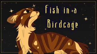 Fish in a birdcage | Warrior Cats OC PMV