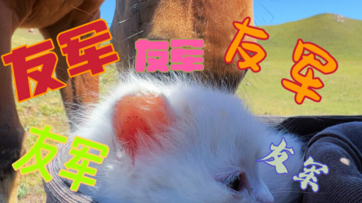 Khi Hakimi gặp Hakimi