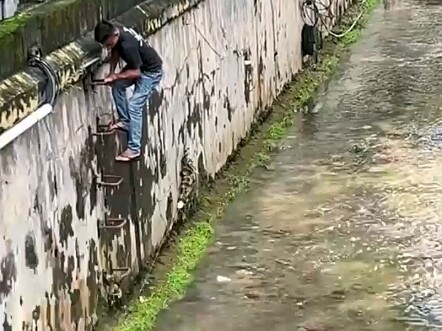 Quick-eyed and quick-handed