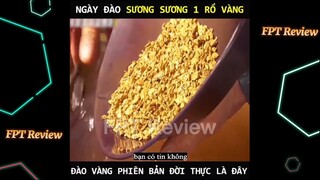 Ngày đào sương sương 1 rổ vàng, làm giàu không khó | LT Review